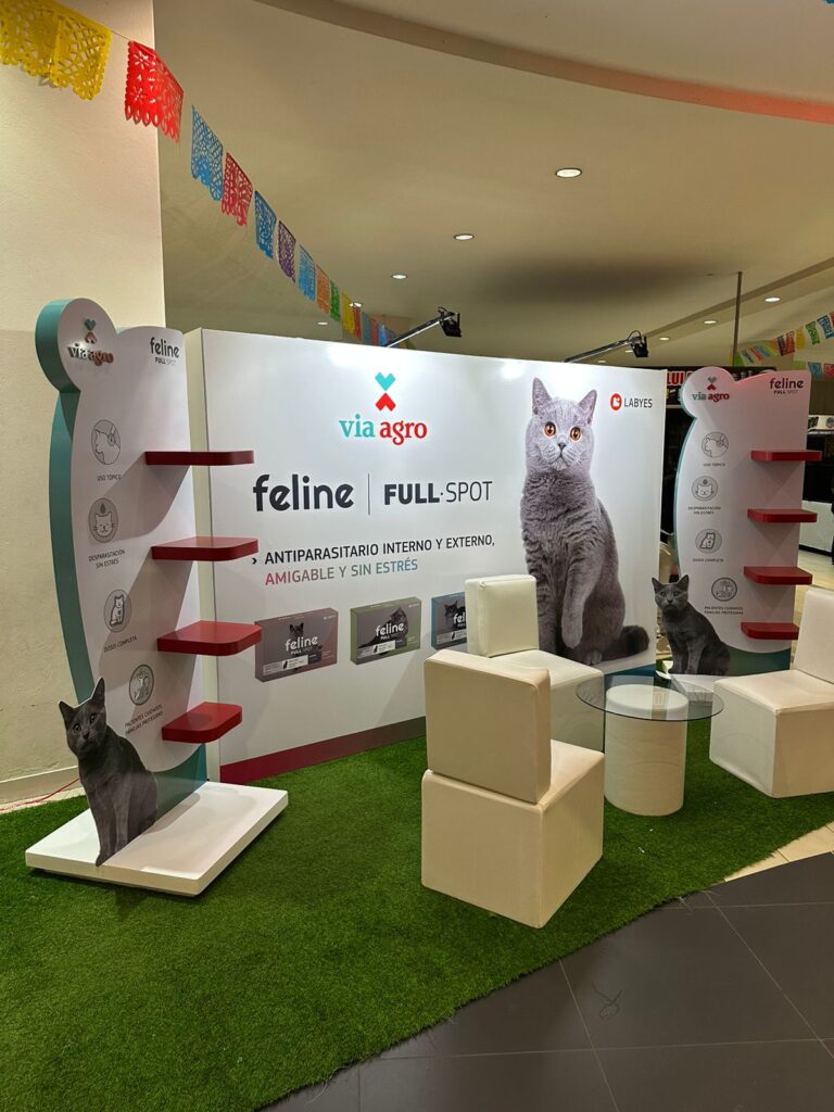 WhatsApp Image 2026-01-07 at 10.05